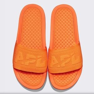 APL Big Logo Techloom Slides